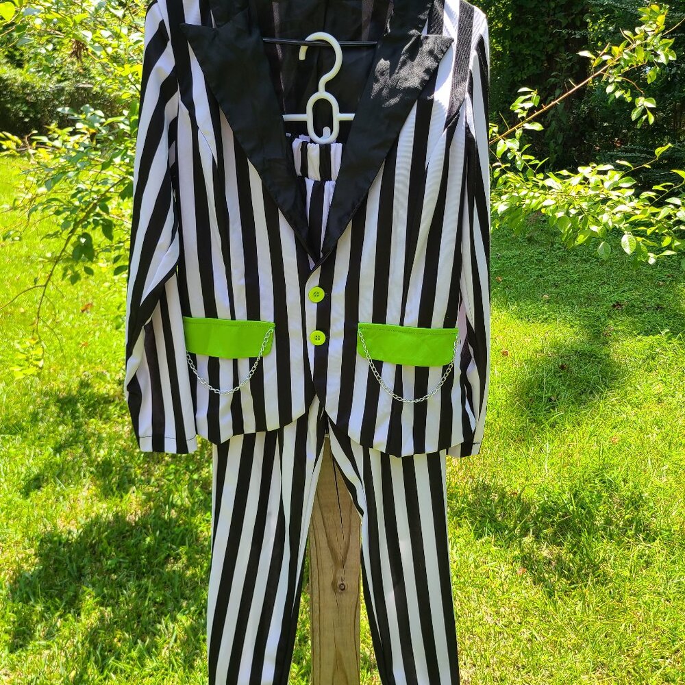 Spirit Beetle juice Halloween costume size medium